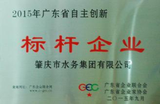 肇水集團(tuán)喜獲“廣東省自主創(chuàng)新標(biāo)桿企業(yè)”榮譽(yù)稱號(hào).jpg